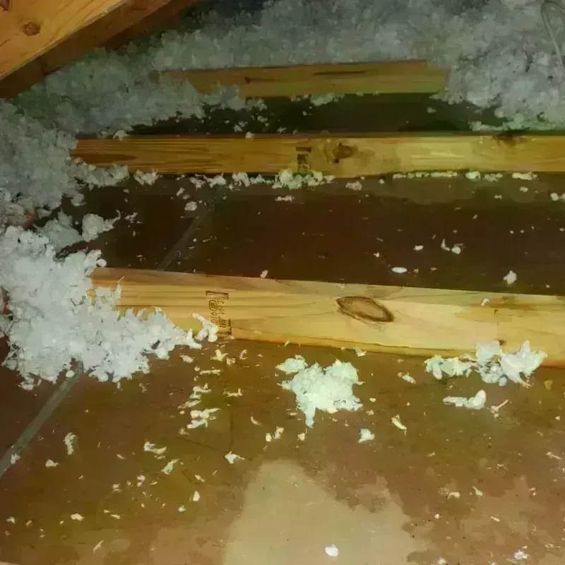 Attic Water Damage in Indio, CA